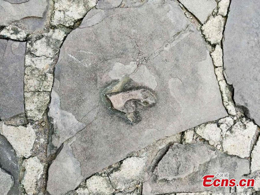 Pegadas de dinossauro descobertas em património UNESCO em Chengde