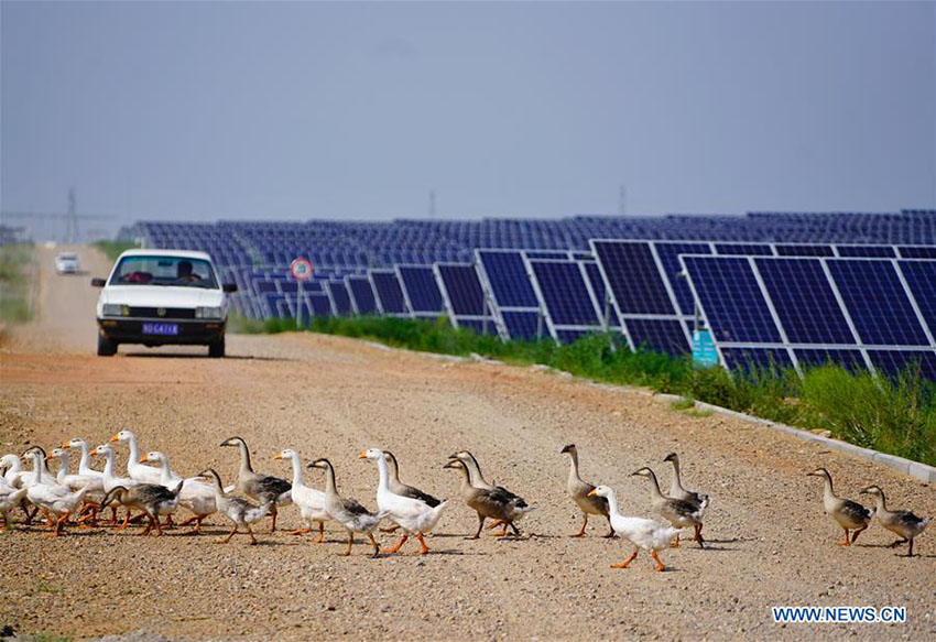 Deserto de Kubuqi: exemplo do sucesso da China no controlo da desertifica??o