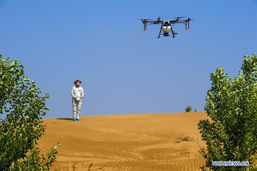 Deserto de Kubuqi: exemplo do sucesso da China no controlo da desertifica??o