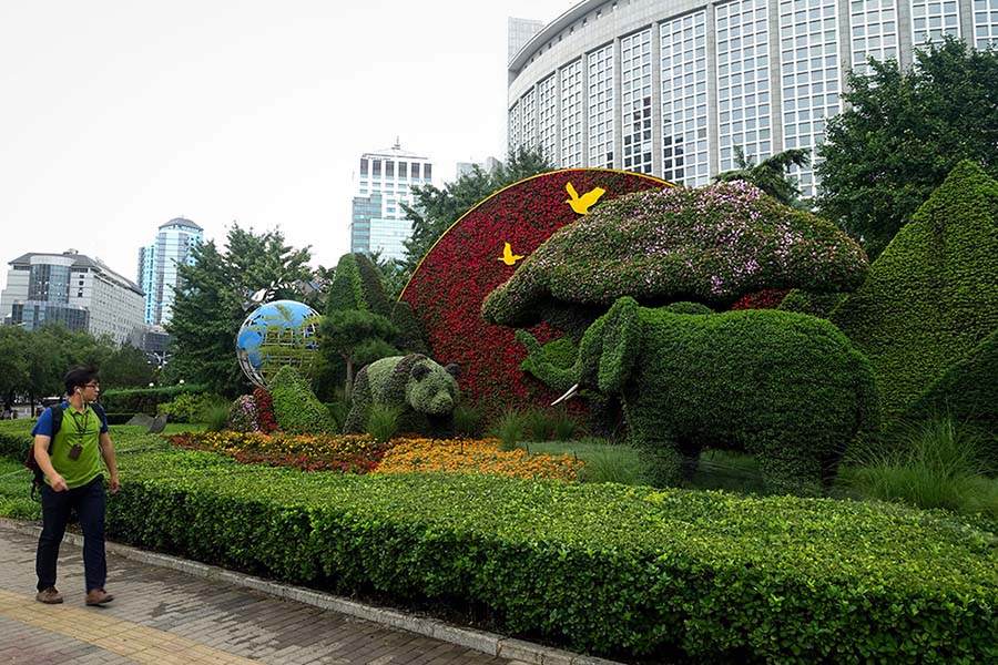 Galeria: Beijing será decorada com canteiros temáticos receber o Fórum de Coopera??o China-áfrica
