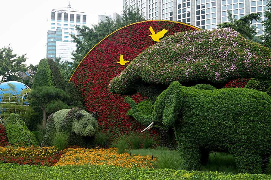 Galeria: Beijing será decorada com canteiros temáticos receber o Fórum de Coopera??o China-áfrica