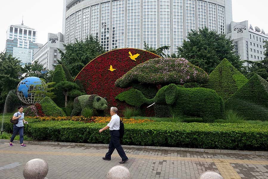 Galeria: Beijing será decorada com canteiros temáticos receber o Fórum de Coopera??o China-áfrica