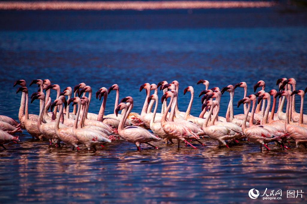 Galeria: A beleza de áfrica pela lente de vários fotógrafos 
