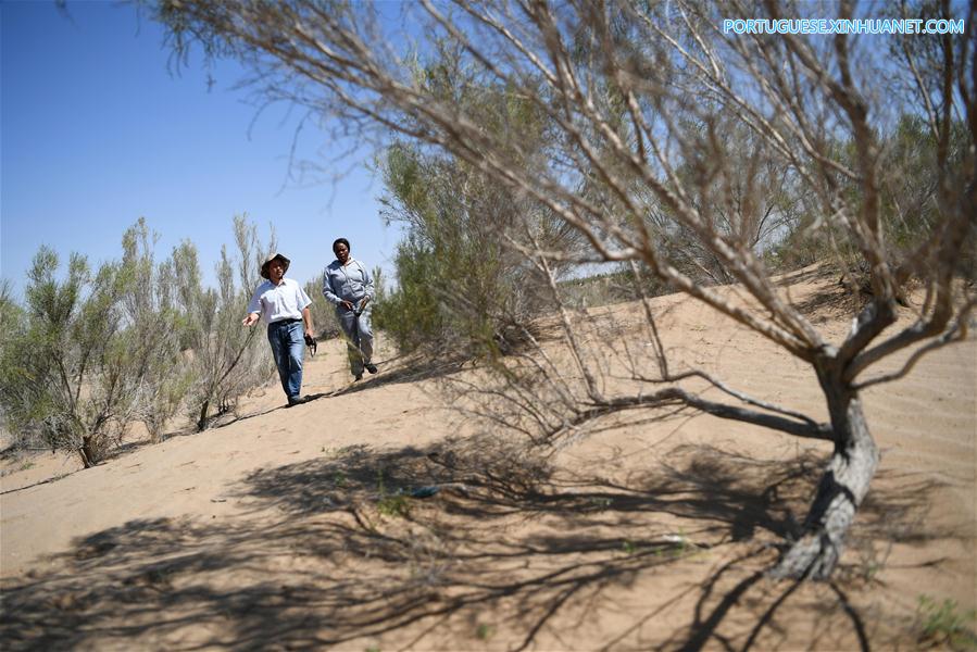 Estudantes africanos aprendem sobre combate à desertifica??o na China
