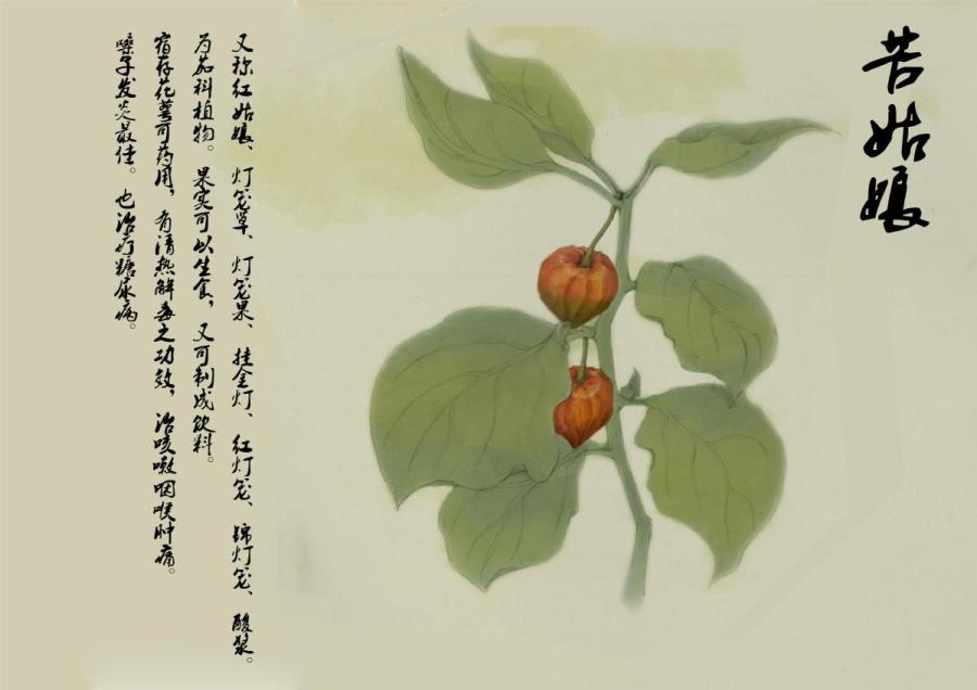 Ilustra??es criadas por professora de arte mostram principais atra??es de Changchun 