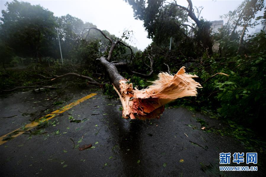 Supertuf?o Mangkhut chega ao sul da China