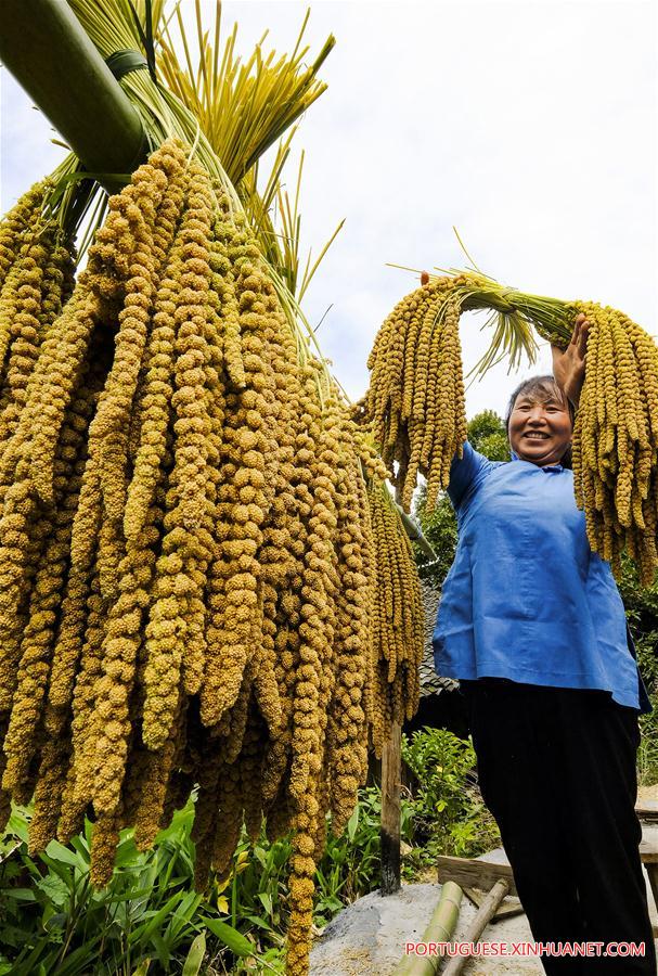 Agricultores e pescadores se ocupam com a colheita de outono em todo o país