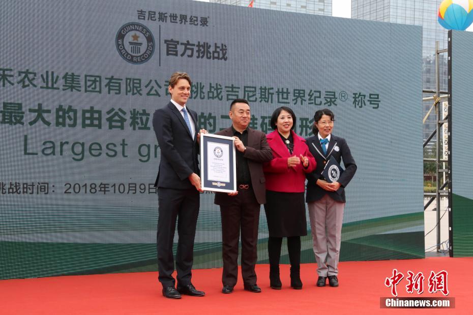 Maior código QR do mundo feito com gr?os exibido em Harbin