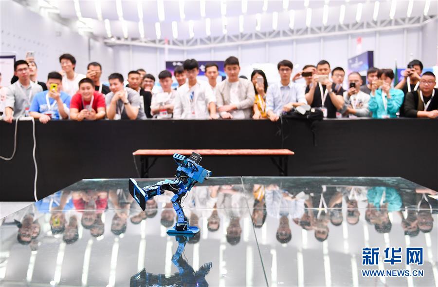 Galeria: 20a edi??o da Competi??o Nacional de Robótica e Inteligência Artificial