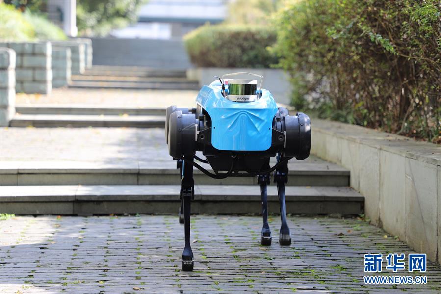 China lan?a novo rob? de quatro patas, com capacidade de correr e subir escadas