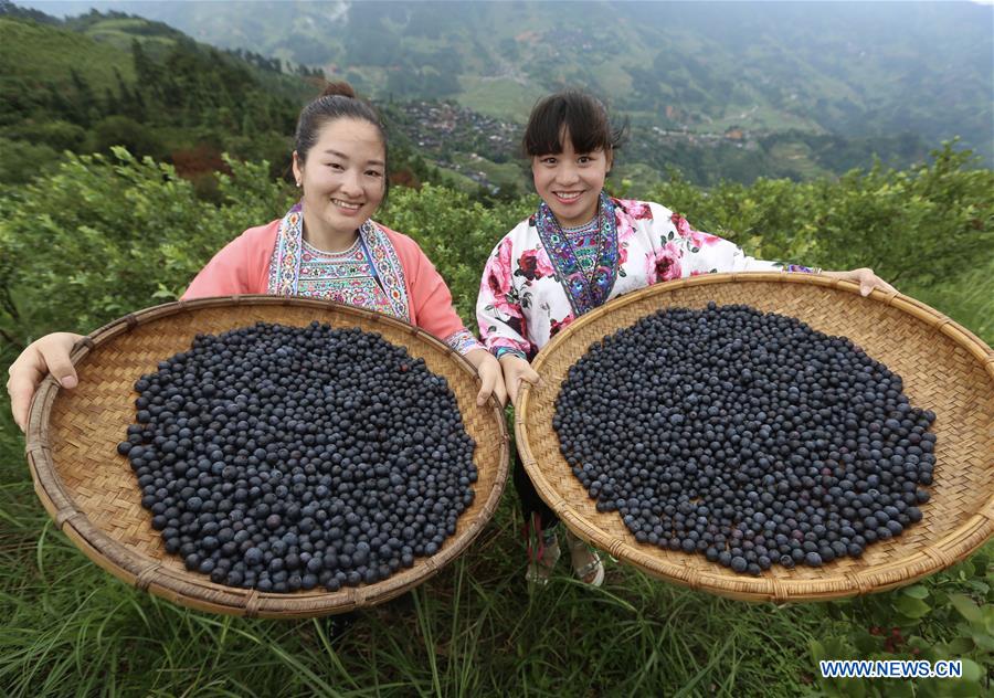 áreas profundamente pobres da China fazem rápido progresso no alívio da pobreza