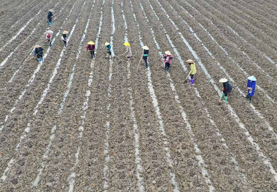 Drones entram no quotidiano dos chineses