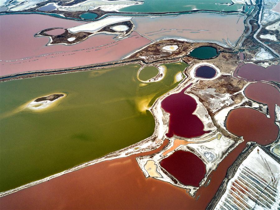 Galeria: Paisagem da primavera no Lago Salgado Yuncheng em Shanxi