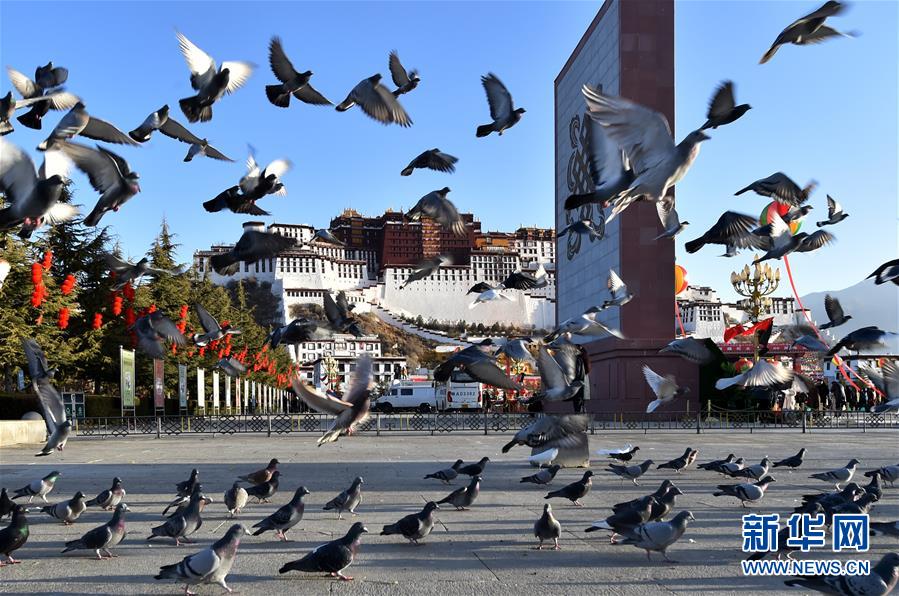 Galeria:A cerimónia do 60o aniversário da reforma democrática do Tibete foi realizada em Lhasa