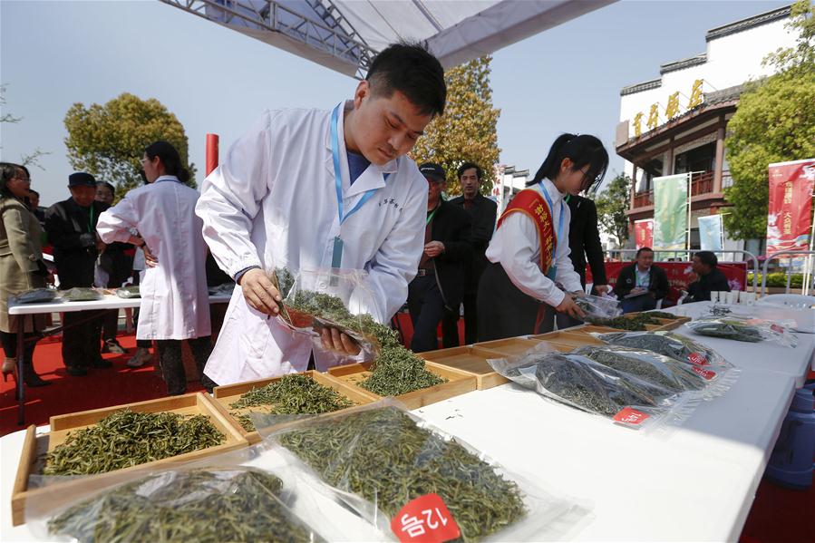 Competi??o de chá em Huangshan, província de Anhui