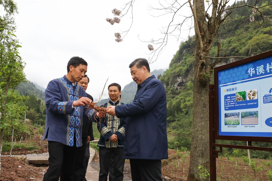 Presidente chinês faz visita de inspec?o a Chongqing