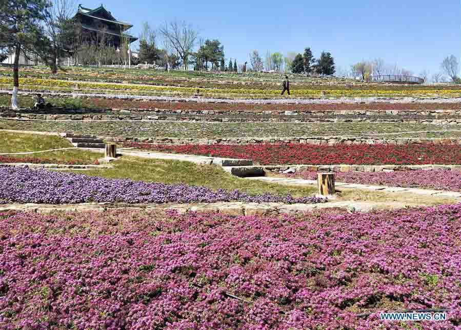 Fotos: local da próxima Exposi??o Internacional de Horticultura 2019 em Beijing