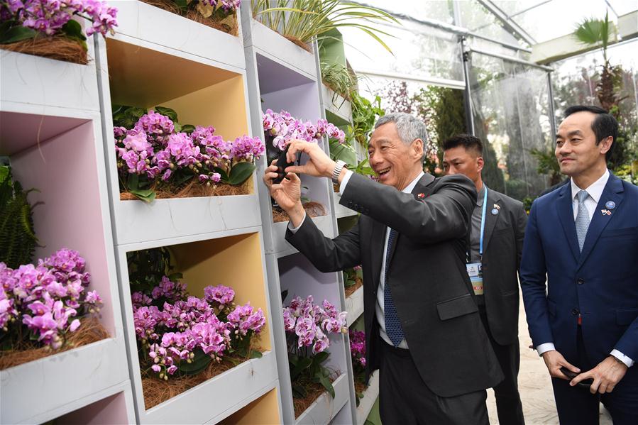 Galeria:Xi e líderes estrangeiros visitam Exposi??o Internacional de Horticultura