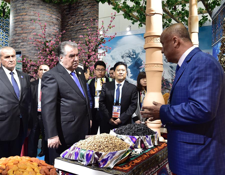 Galeria:Xi e líderes estrangeiros visitam Exposi??o Internacional de Horticultura