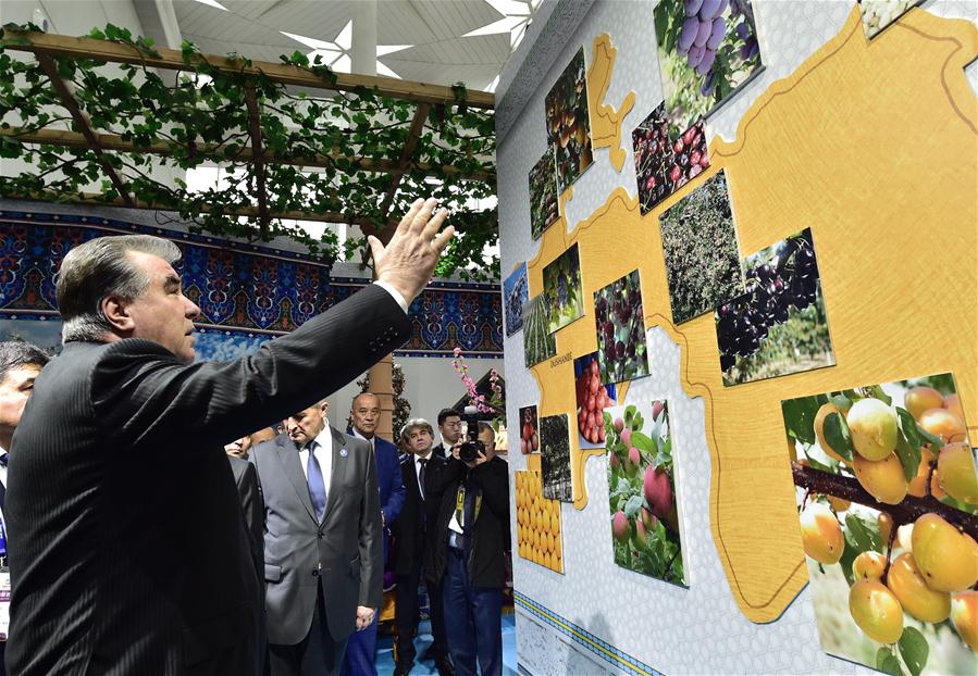 Galeria:Xi e líderes estrangeiros visitam Exposi??o Internacional de Horticultura