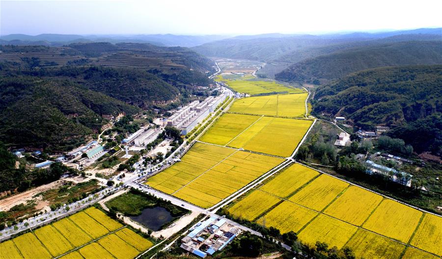 Base revolucionária ic?nica da China sai da pobreza