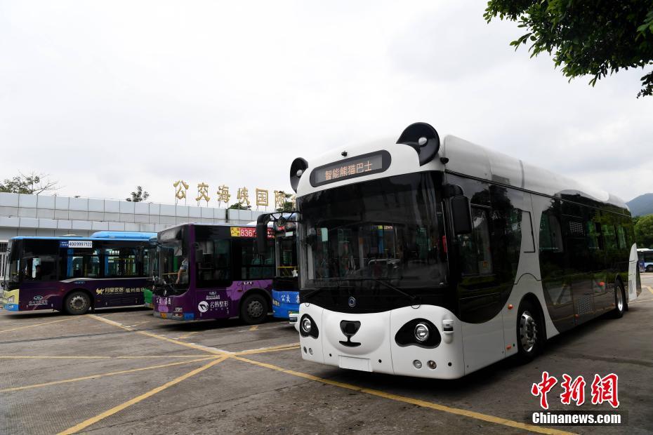 Insólito: “?nibus Panda” atrai aten??es nas ruas de Fuzhou