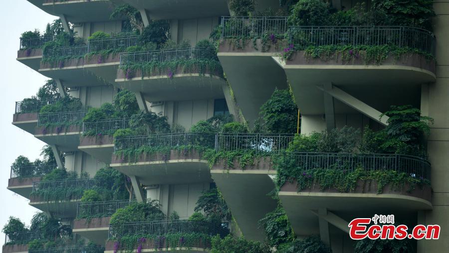 Insólito: Conhe?a a “floresta vertical” em Chengdu