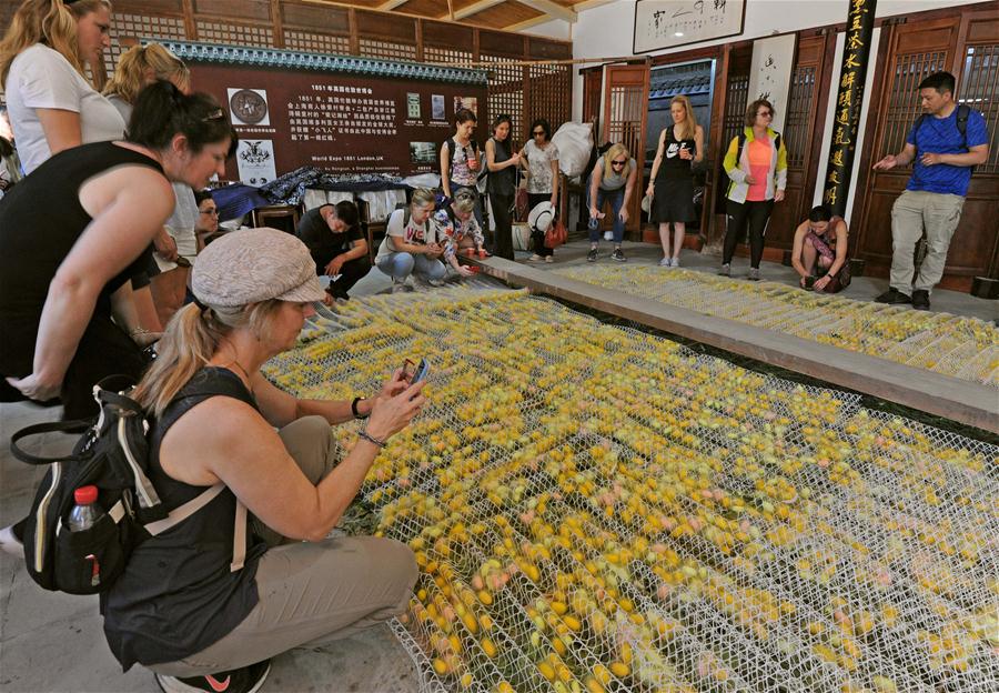 Museu exibe cole??o de ferramentas para cultivo de bichos-da-seda em Zhejiang