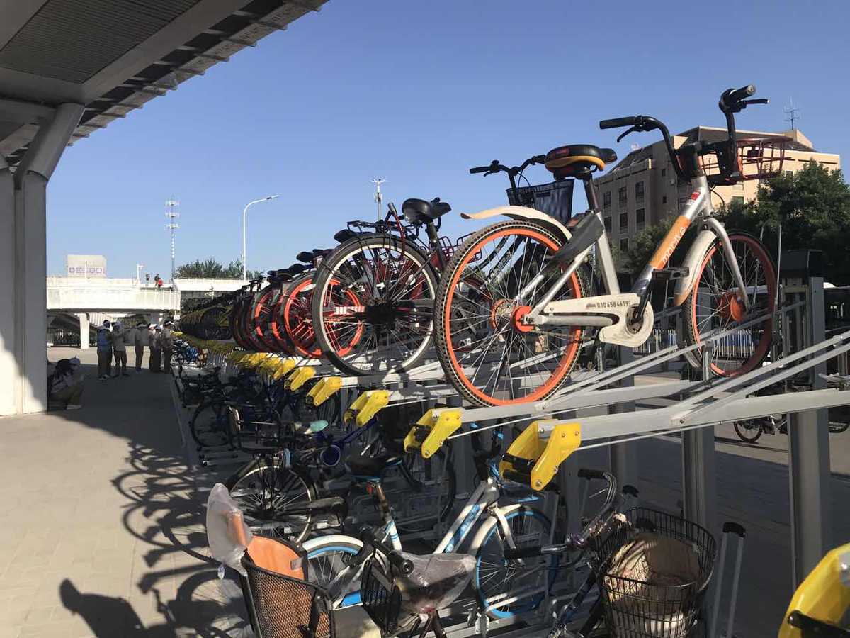 Galeria: Beijing inaugura primeira ciclovia
