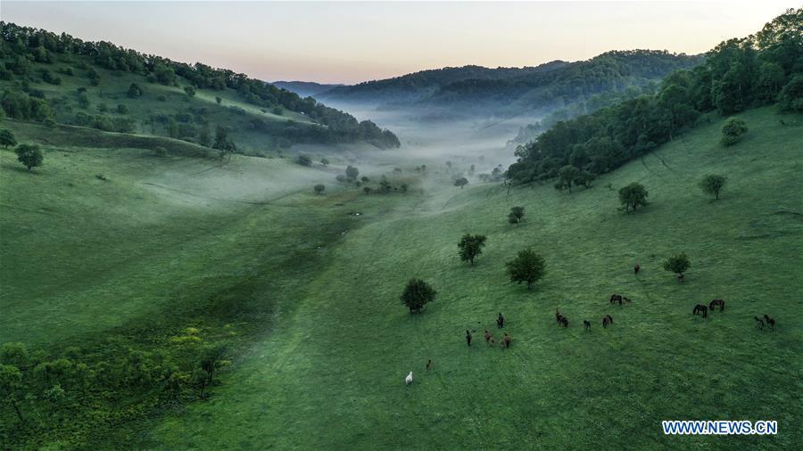 Galeria: Paisagem da pastagem de Guanshan em Shaanxi