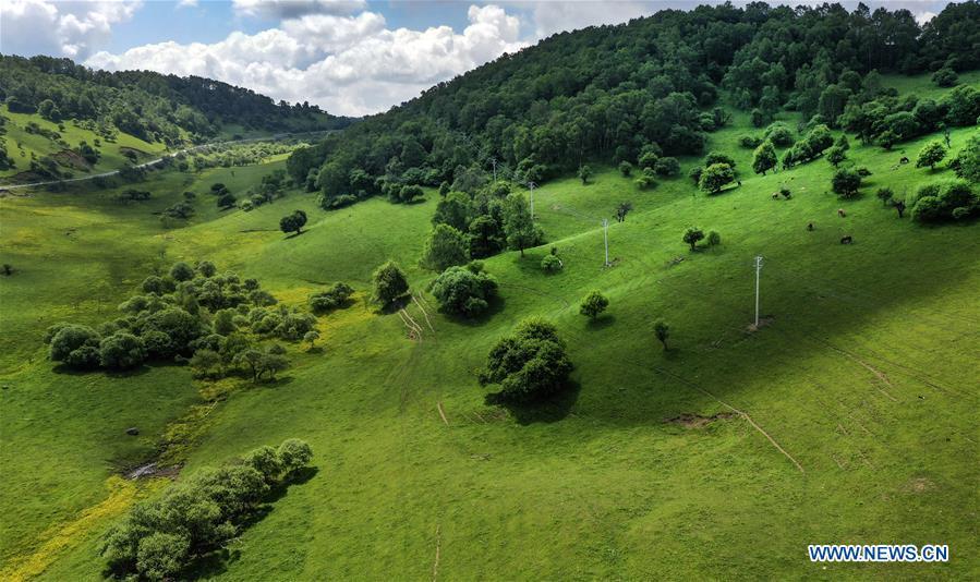 Galeria: Paisagem da pastagem de Guanshan em Shaanxi