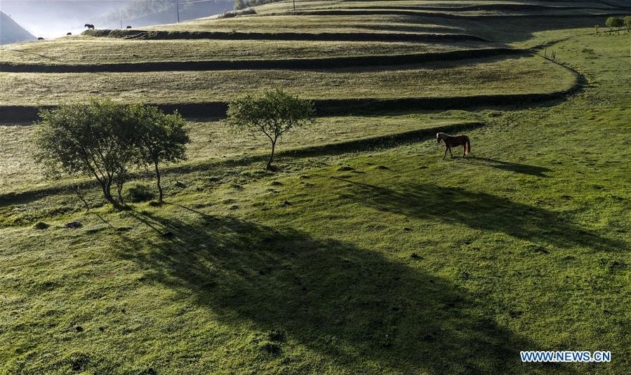 Galeria: Paisagem da pastagem de Guanshan em Shaanxi