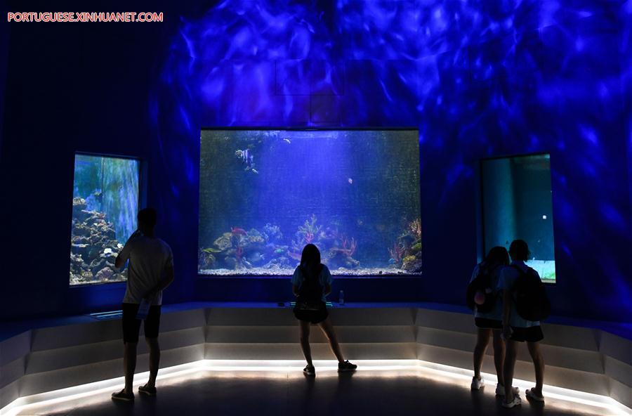 Museu em Hainan se torna lugar ideal para estudantes aproveitarem as férias de ver?o