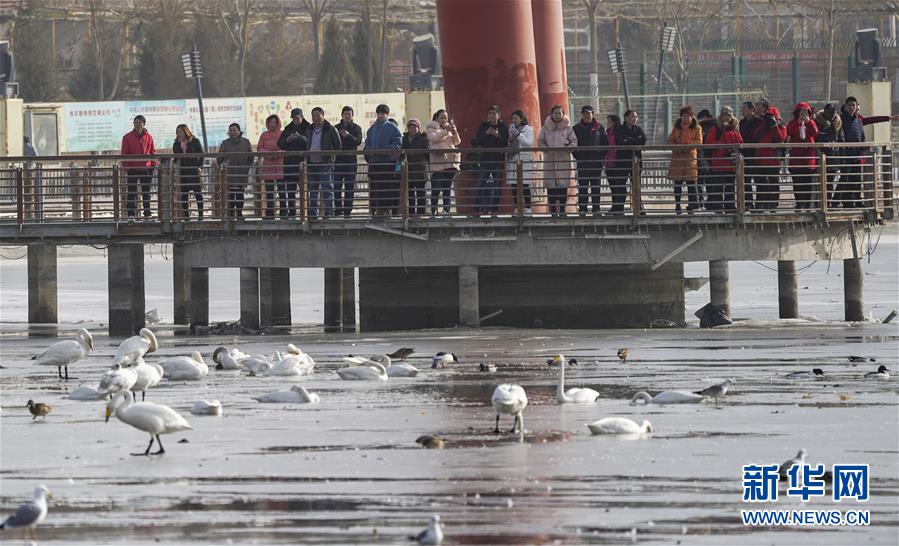 Xinjiang recebe mais de 75 milh?es de turistas no primeiro semestre