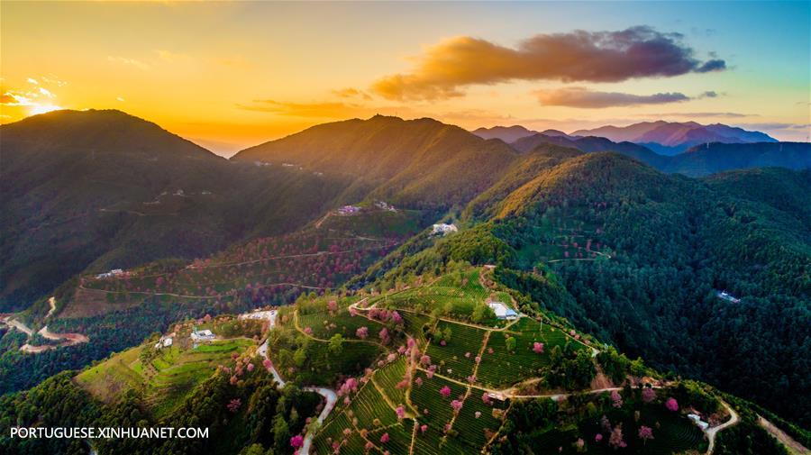 China verde: Yunnan coloca grandes esfor?os na promo??o da constru??o da civiliza??o ecológica