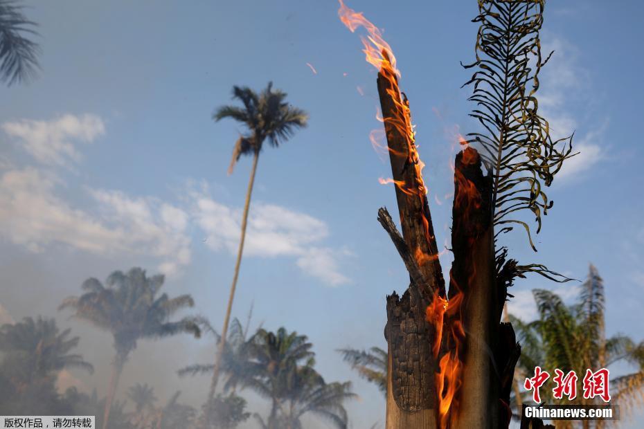 Onda de incêndios na Floresta Amaz?nica podem ser intencionais