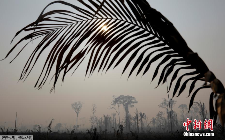O governo brasileiro mobiliza o exército para ajudar a extinguir incêndios graves na Floresta Amaz?nica