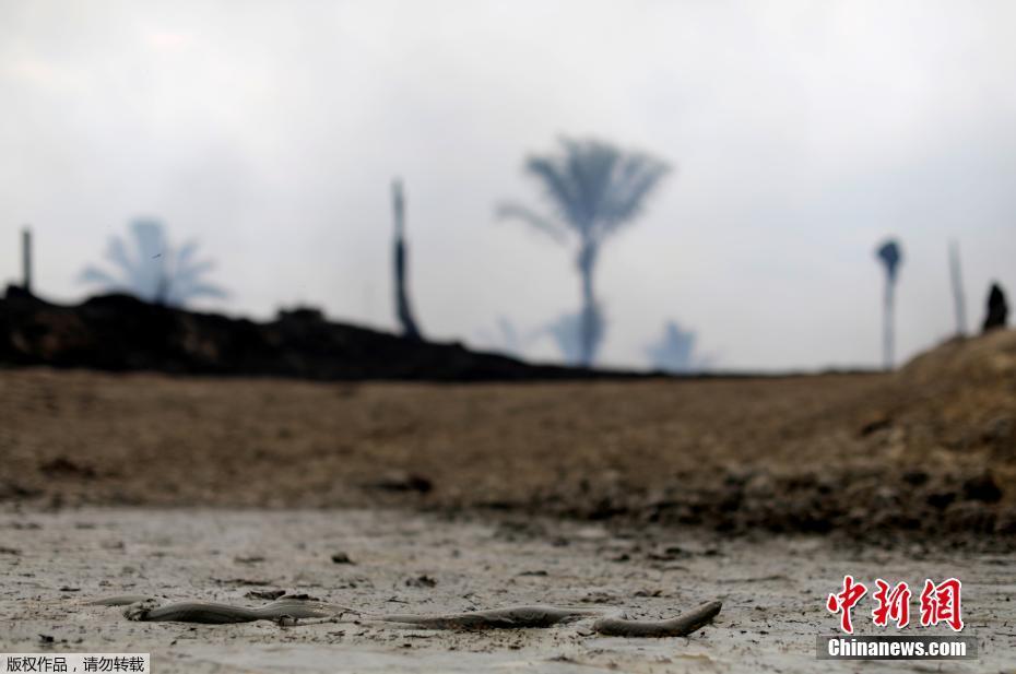O governo brasileiro mobiliza o exército para ajudar a extinguir incêndios graves na Floresta Amaz?nica