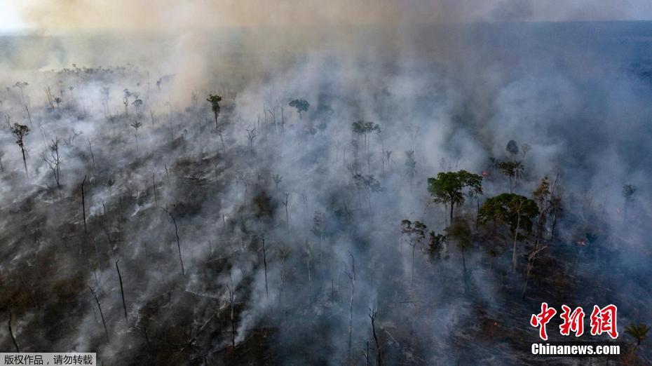 O governo brasileiro mobiliza o exército para ajudar a extinguir incêndios graves na Floresta Amaz?nica