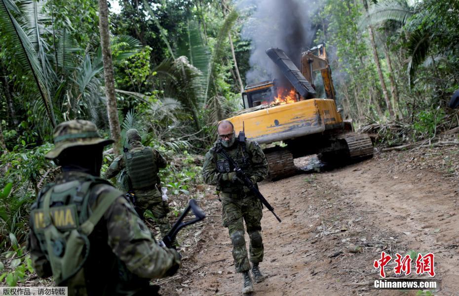 Polícia brasileira destrói máquinas usadas para desfloresta??o ilegal