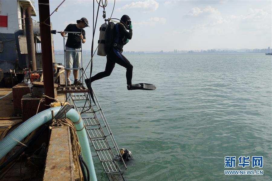 Relíquias de navio naufragado Dingyuan encontradas em Shandong