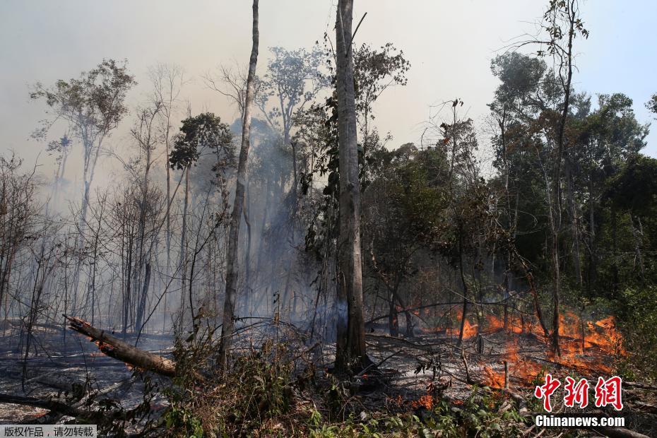 Galeria: bombeiros brasileiros combatem incêndio na Florestal Amaz?nica