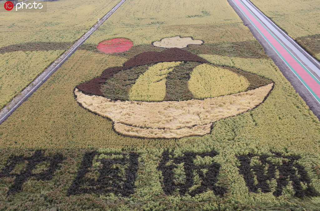Produ??o anual de alimentos da China aumenta 5 vezes nos 70 anos