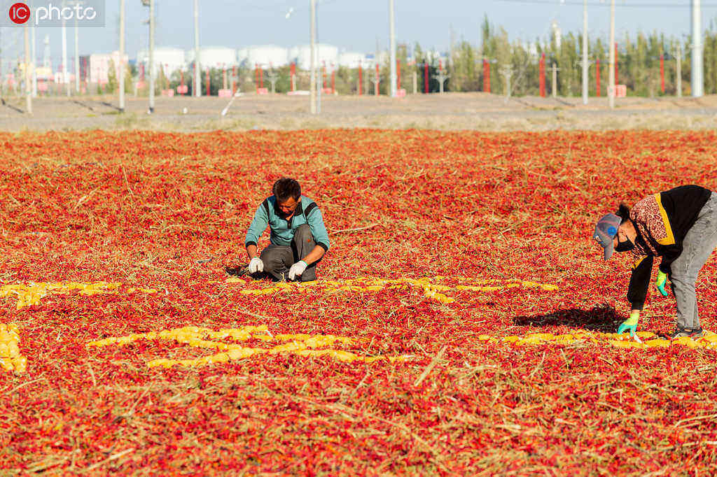 Produ??o anual de alimentos da China aumenta 5 vezes nos 70 anos