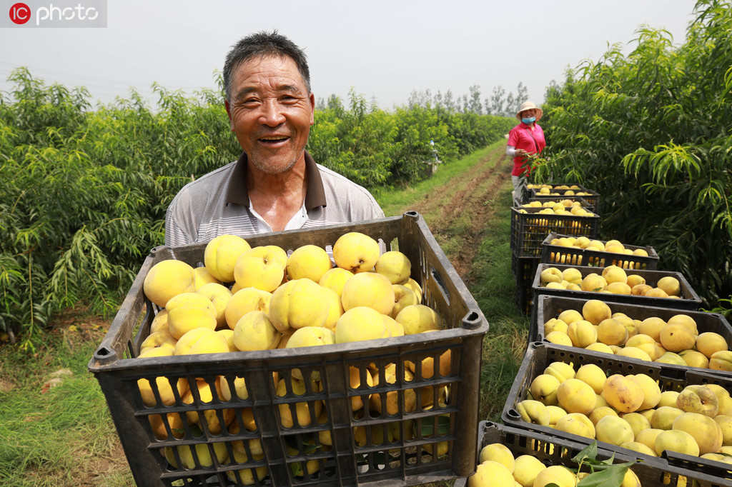 Produ??o anual de alimentos da China aumenta 5 vezes nos 70 anos