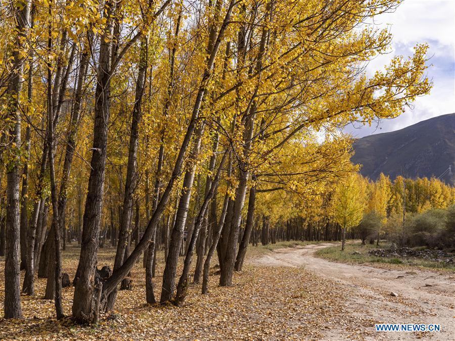 Galeria: cena expetacular em Lhasa