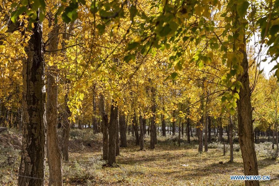 Galeria: cena expetacular em Lhasa