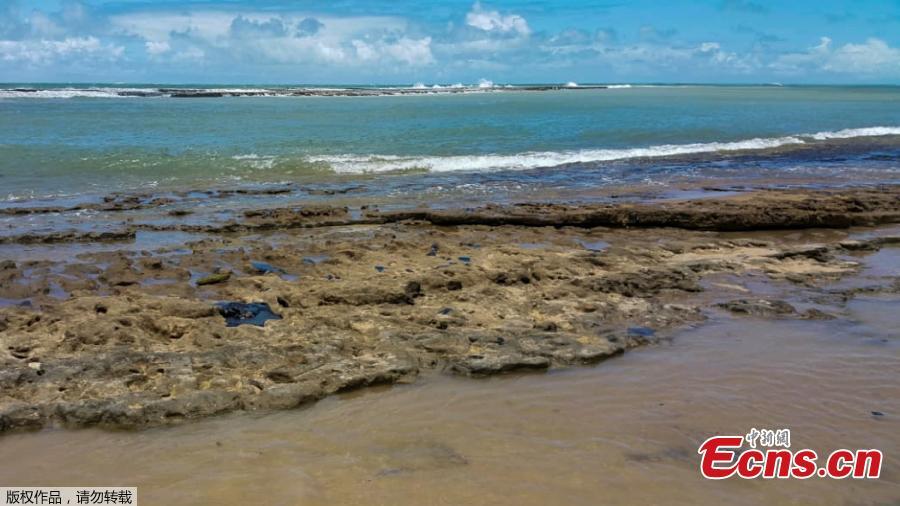 Brasil intensifica limpeza da polui??o costeira de petróleo em que mais de 100 praias foram afetadas