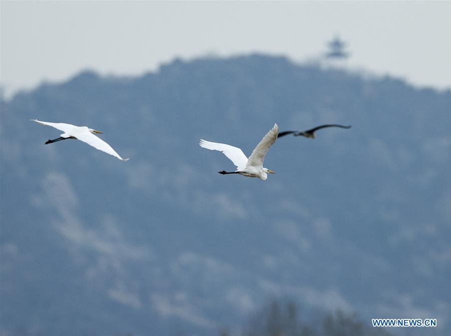 Paisagem da regi?o de Longhu em Shandong