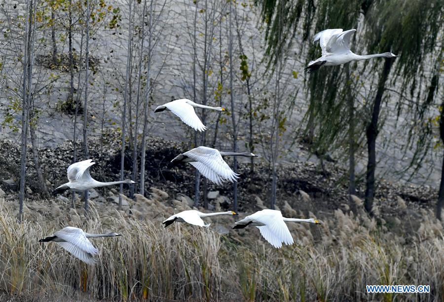 Paisagem da regi?o de Longhu em Shandong